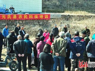 学剪枝 提效益 河北省农林科学院专家培训元氏连翘种植户