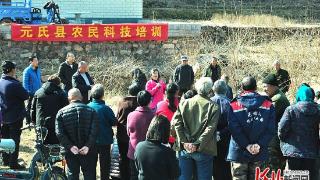 学剪枝 提效益 河北省农林科学院专家培训元氏连翘种植户