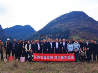 工行六盘水分行开展“青植绿意绘凉都 工银同心筑生态”主题活动