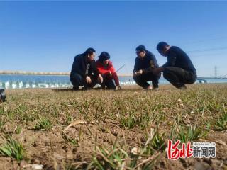 卢龙：三月春管正当时 田间“把脉”助丰产