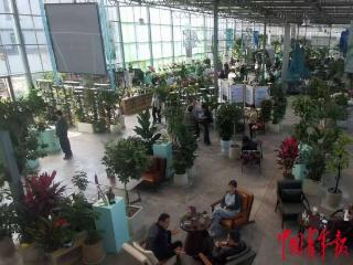 一株兰花成就共富产业