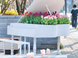 珍惜这两天的阳光 下周天气逆转