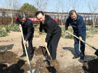 涌金楼丨省委书记、省长一起种下“浙江树”