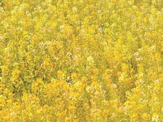 今天厦门北风持续劲吹：昼暖夜寒 晴好干燥