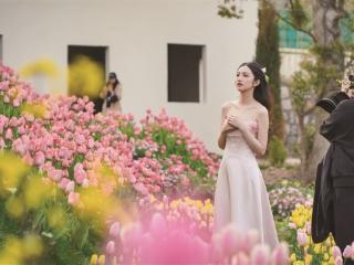 唯美花境 浪漫满园