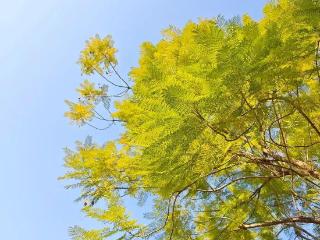 直冲30℃！全福建都升温！