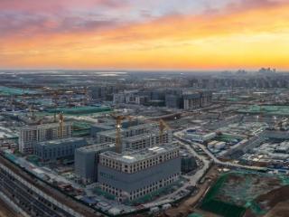 北京林业大学雄安校区种下“未来之树”