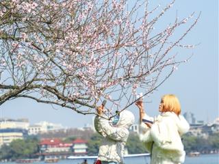 阳光“余额”不足 下周雨水频繁 西湖桃红柳绿即将上线