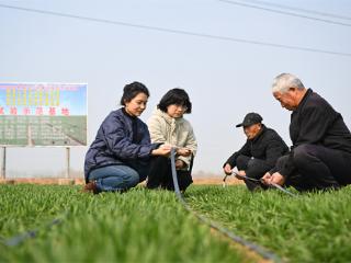 试验田里春管忙