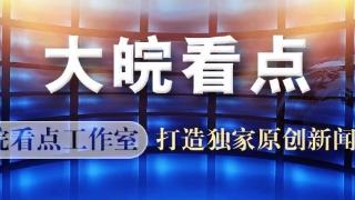 廉价“法式鹅肝”背后有啥文章？大皖新闻现场暗访，鹅肝竟检出“鸡源性成分”