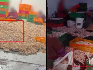 曝光黑心“漂白鸡爪”！生产车间令人作呕！有毒的双氧水随便用！