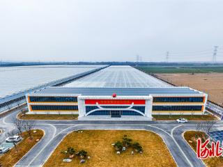 影像记录｜在雄安，感受智慧农业新脉动