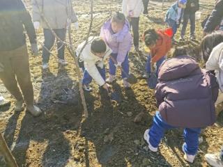 淄博市博山区四十亩地小学：植绿护绿 共筑家园