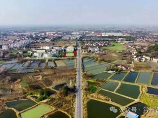 溧阳社渚：“中国青虾第一镇”到底有什么？