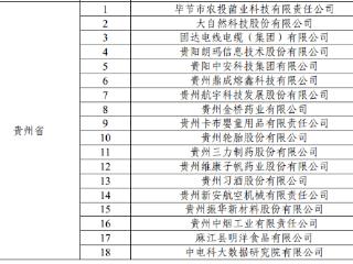 【奋进春天里】贵阳高新区+18家企业入选 贵州知识产权示范创建再添标杆