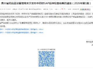 原料基地通过检查！赞皇酸枣仁产业规范化建设取得新突破