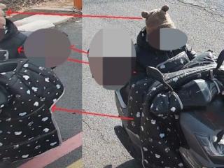 现实版“熊出没”！沂源警方快速破获一起电缆盗窃案