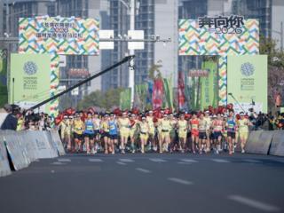 龙湾农商银行·2026温州龙湾半程马拉松圆满落幕