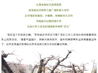 就在洛阳， 无人机下地！