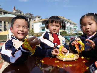 余干县实验幼儿园开展油菜花主题园本课程活动