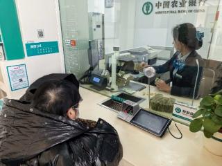 农行泰山东岳支行：指尖清点千张币 暖心服务暖耆心