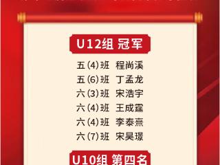 省运会冰球比赛收官 神龙小学队夺得冠军
