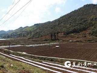 桐梓：抢抓农时忙春耕 夯实基础促增收