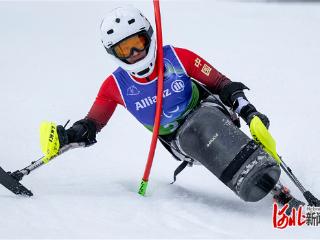 致敬！燕赵健儿米兰争光添彩