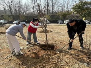 春满高新添新绿——泰安高新区开展植树节系列主题活动