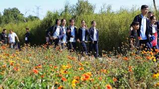 春秋假试点：多放三天假，考验的是教育大智慧