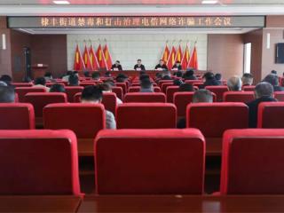 零死角、全覆盖 无棣县棣丰街道立体防控筑牢禁毒“防火墙”