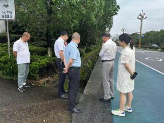 一张纸改变一条路 “小切口”服务“大治理”