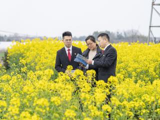 高淳法院：法治春风拂金花 司法护航到农家