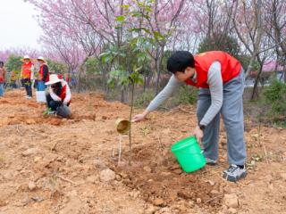 江西金溪：一线服务助绿化