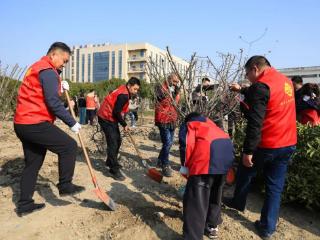 北桥，自带“绿”镜