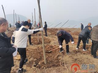 枣庄市市中区孟庄镇:植绿守初心 老兵显担当 退役军人志愿服务队开展春季植树活动