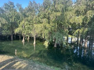 尾水造绿洲 护江启新篇 芜湖朱家桥擦亮生态底色