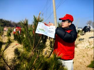 共植“清风林”——中建五局烟台韩华项目以“志愿红”播种“生态绿”