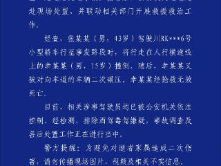 15岁男生过斑马线被撞身亡 四川南部县警方通报