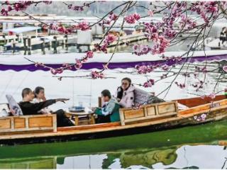 春日赏花游“接管”朋友圈 杭州旅游热度居全国前五