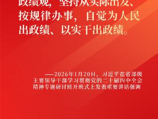 金句海报丨“为人民出政绩、以实干出政绩”