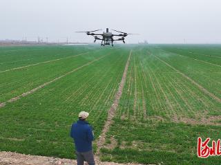 麦田春管的“科技范”
