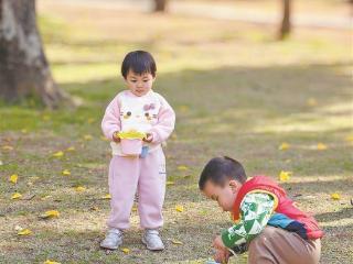今日鹭岛午间晴暖似夏 入夜冷锋造访