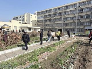启东城管进社区：告别“空中菜园” 还绿于民共建宜居家园