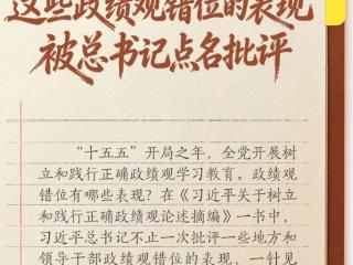 学习笔记 | 这些政绩观错位的表现，被总书记点名批评