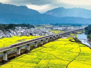 春游踏青正当时！长三角铁路计划增开40对列车 21座车站试点“轻装行”