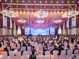 洋铭威泰 | 2026 广东 3・15 论坛圆满举行—聚焦消费维权 强化正品保护