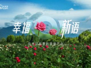 时政微纪录｜幸福新语——总书记称赞的美丽产业