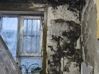 吉网调查｜住房漏水“长毛”，五年维权无果，究竟该找谁？