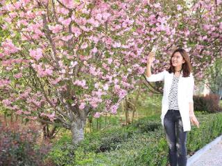 花开泰山区 春色入画来！ 一键收藏最美花海